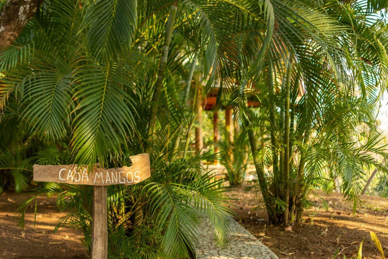 Calamocha Lodge Playa Santa Teresa (Puntarenas) Exterior foto